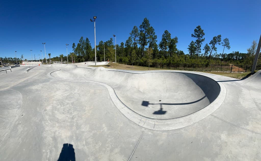Concrete skatepark bowls documented under a clear sky, surrounded by pine trees